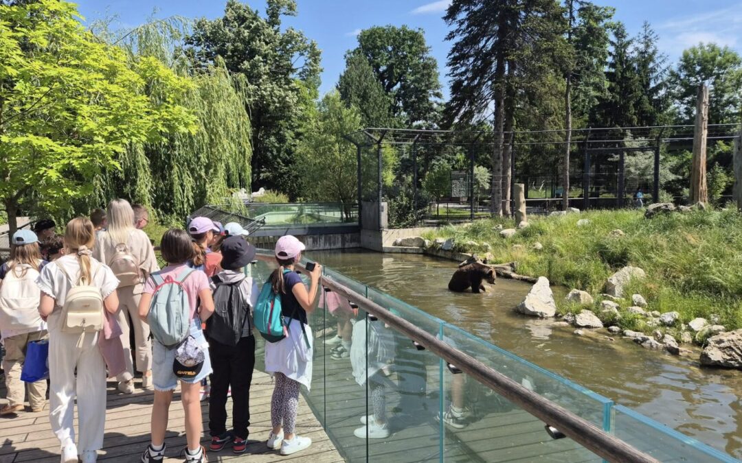 Gita nello Zagorje croato – Izlet u Hrvatskom zagorju