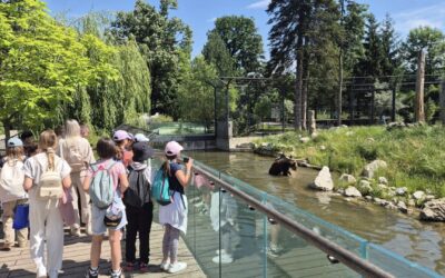 Gita nello Zagorje croato – Izlet u Hrvatskom zagorju