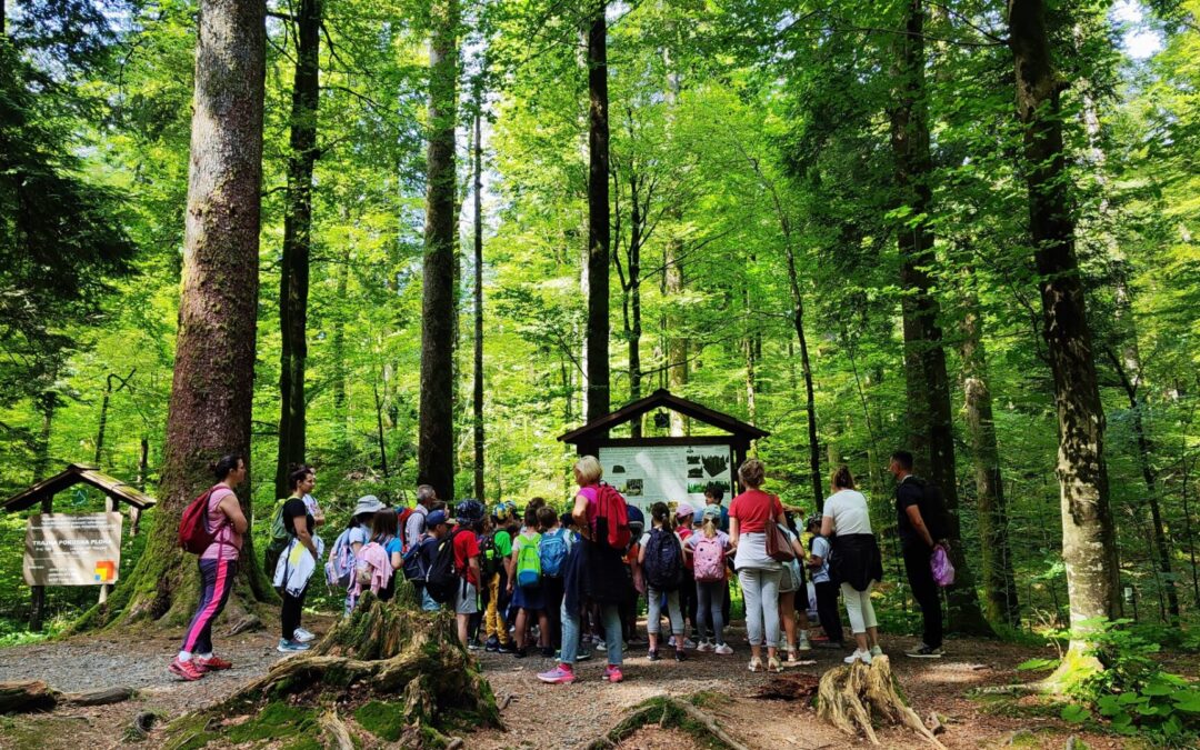 Visita al Parco Nazionale Risnjak – Posjet Nacionalnom parku Risnjak