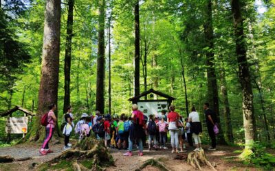 Visita al Parco Nazionale Risnjak – Posjet Nacionalnom parku Risnjak