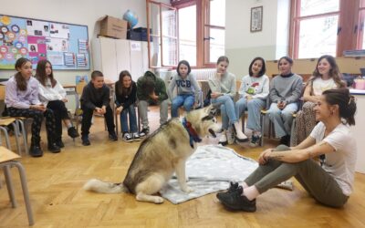 L’associazione Indeficienter – cani da terapia (Educazione civica)