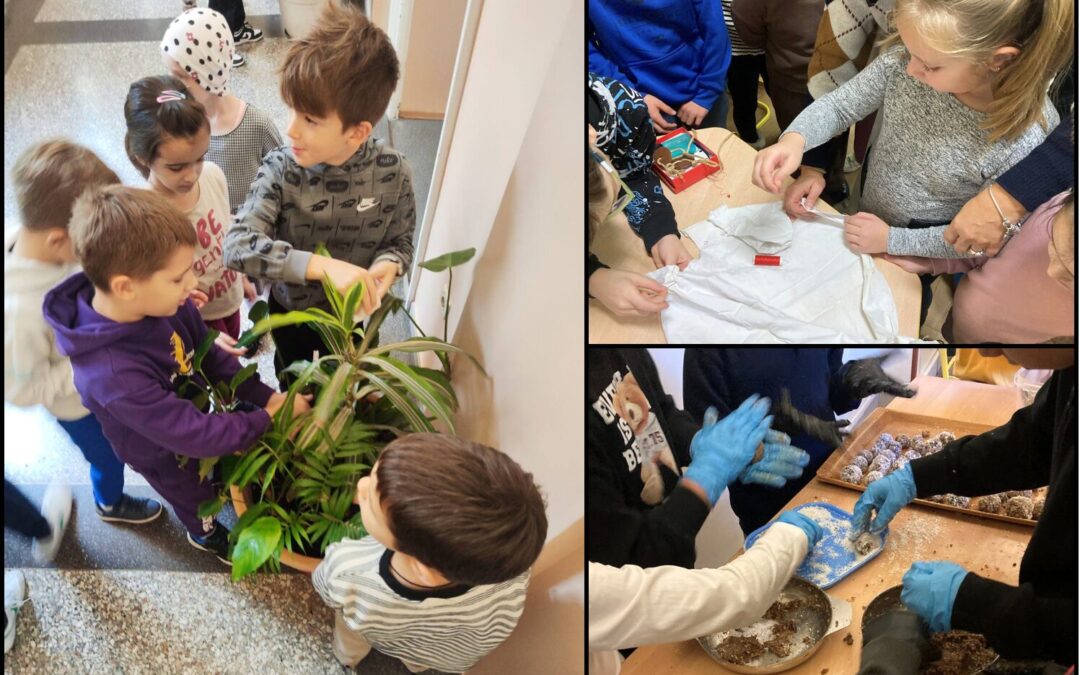 Eko domaćinstvo – Economia domestica ecologica