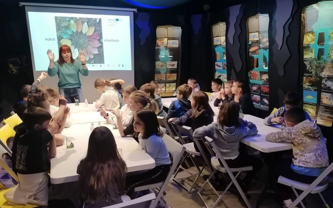 Visita al Museo di Scienze Naturali (2a e 2b) – Posjet Prirodoslovnom muzeju (2.a i 2.b)