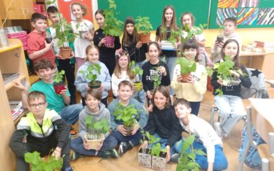 Le condizioni di vita (IVb) – Životni uvjeti (IV.b)