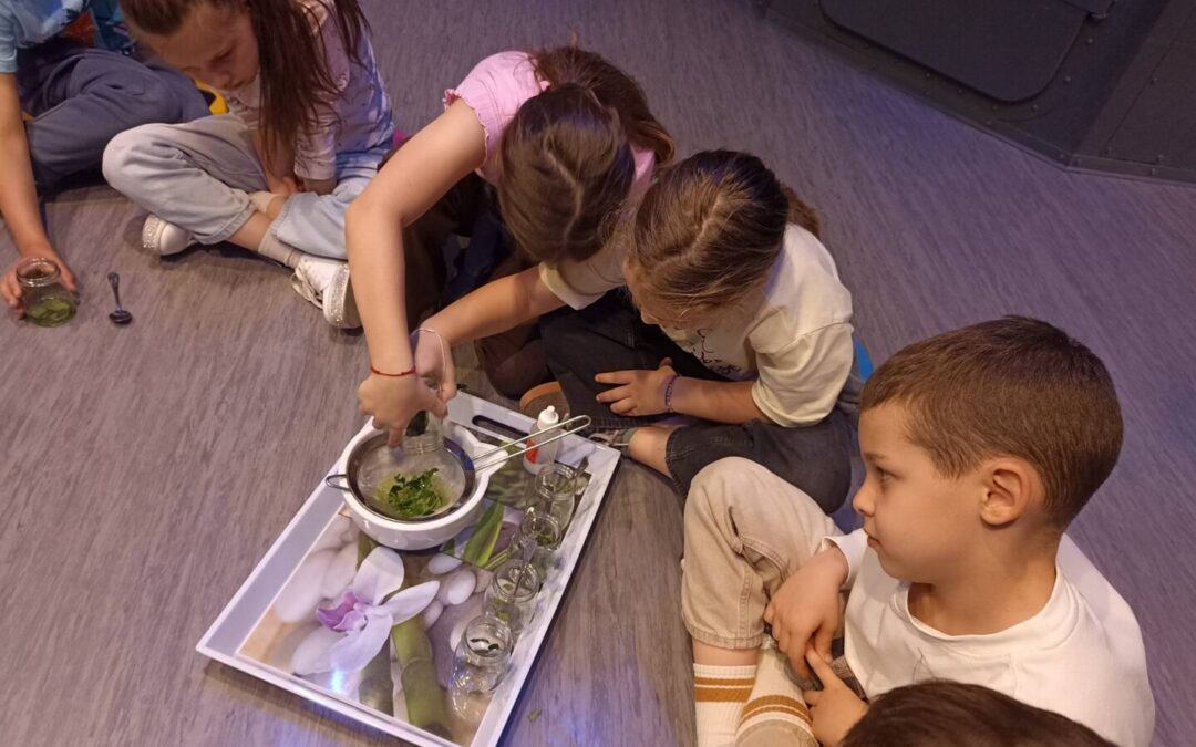 Visita al Museo di Scienze Naturali (1ªb) – Posjet Prirodoslovnom muzeju (1.b)