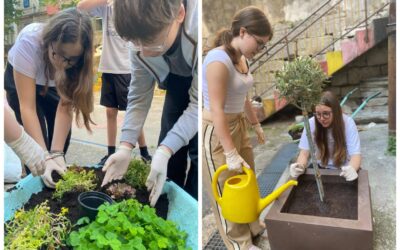 Iniziativa “La Croazia fa volontariato” (Educazione civica)