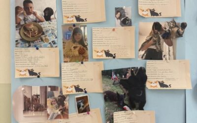 Giornata mondiale degli animali